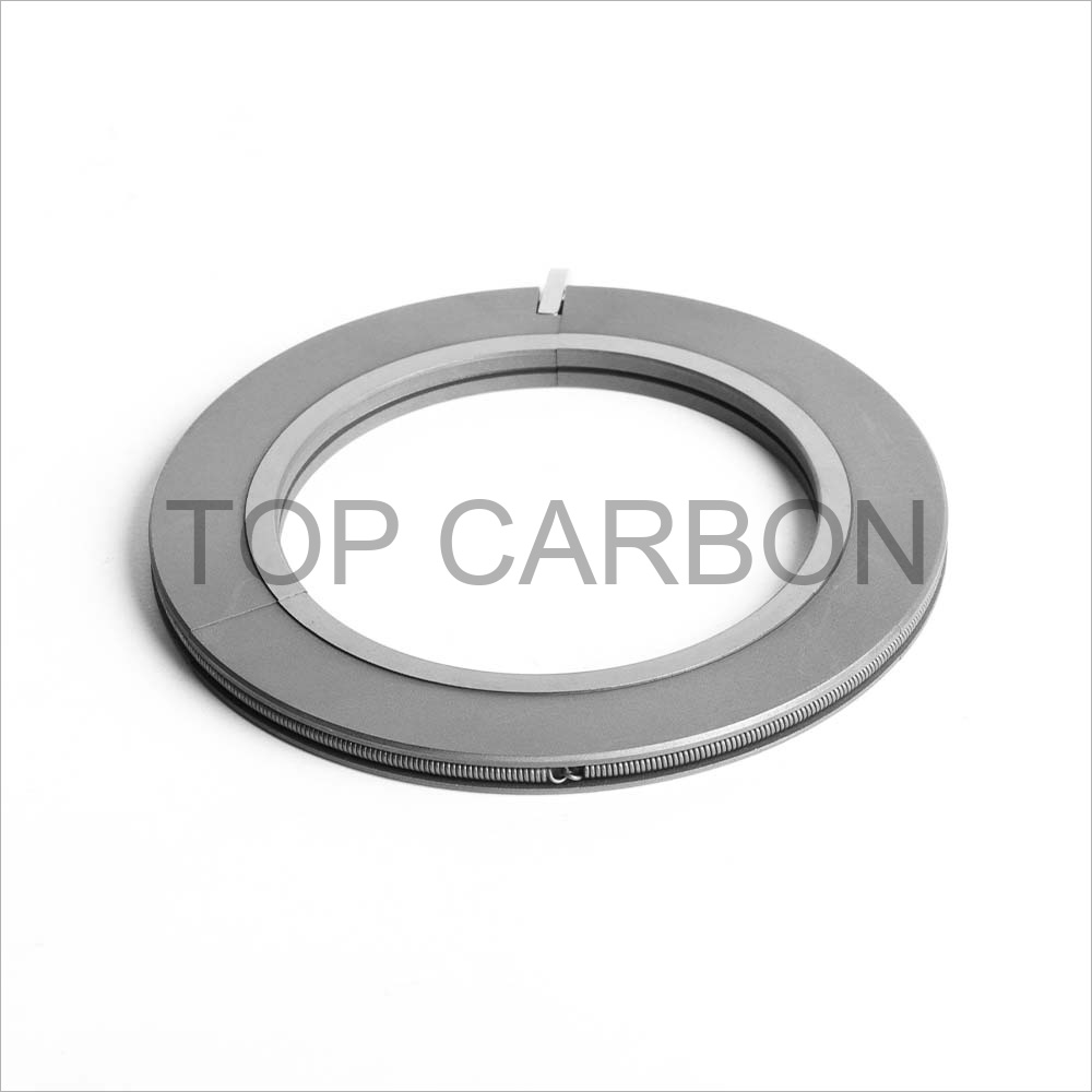Carbon Graphite Bearing